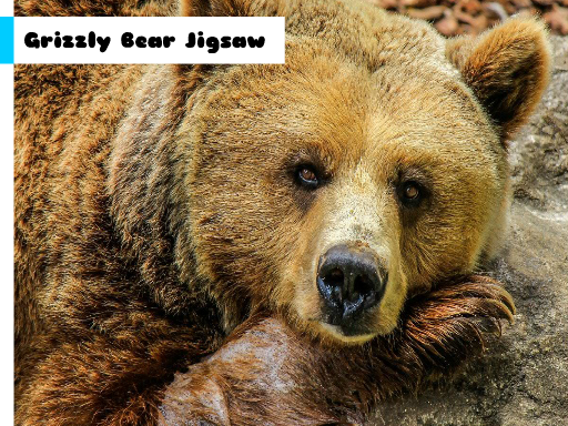 Grizzly Bear Jigsaw