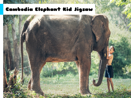 Cambodia Elephant Kid Jigsaw