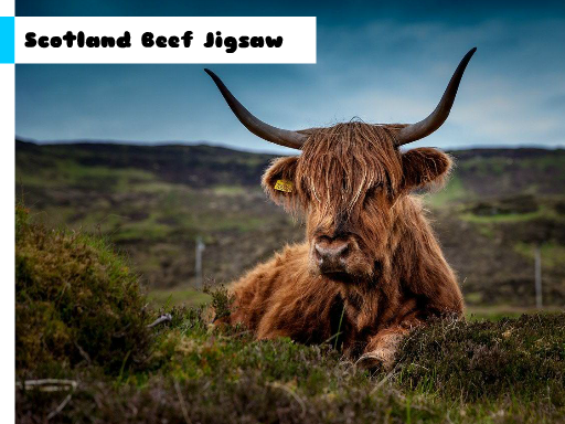 Scotland Beef Jigsaw