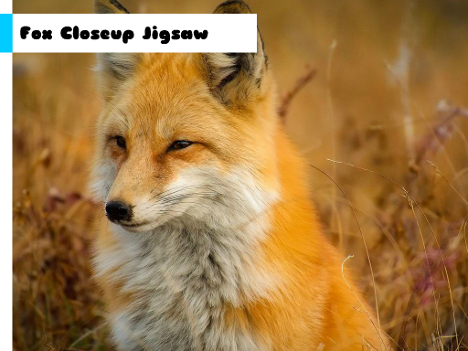 Fox Closeup Jigsaw